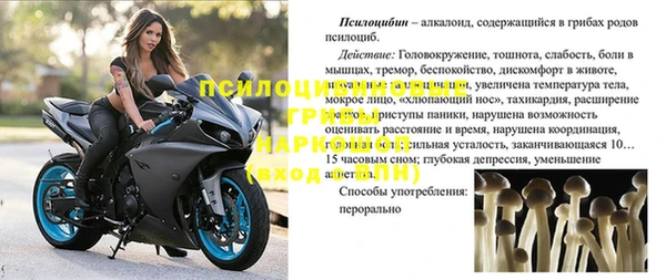 соль курить ск Каменногорск